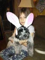 Awesome Aussie-Tzu
