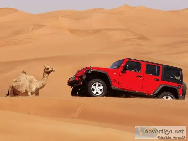 Dubai safari tours