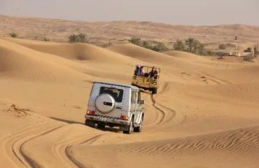 Dubai safari tours