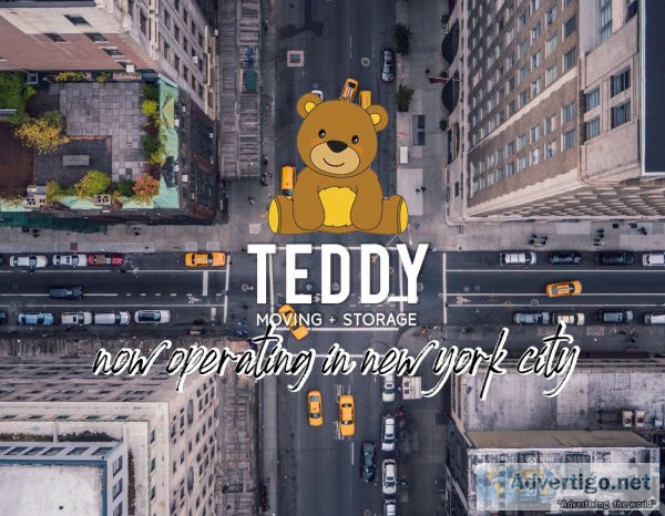 Teddy moving and storage