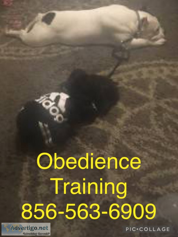 We control all breeds k9 control