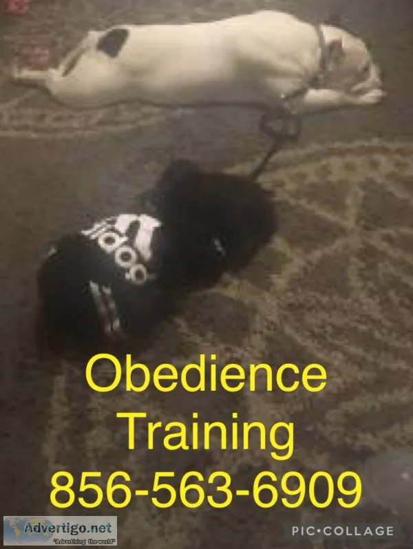We control all breeds k9 control