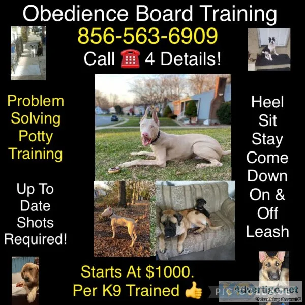 Puppy program offers guarantee