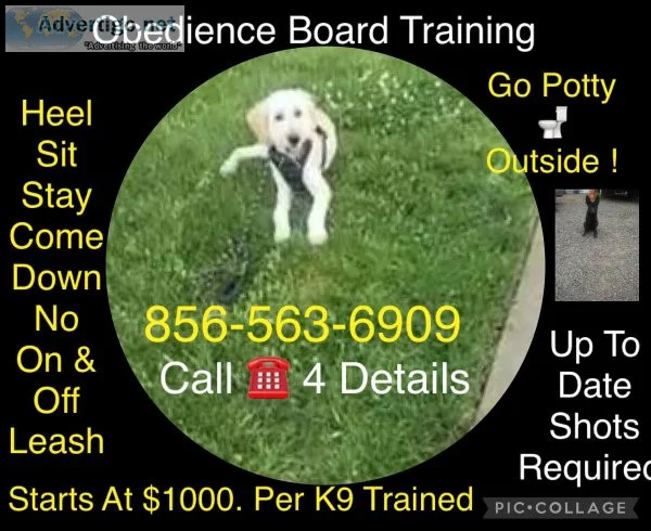 We control all breeds k9 control