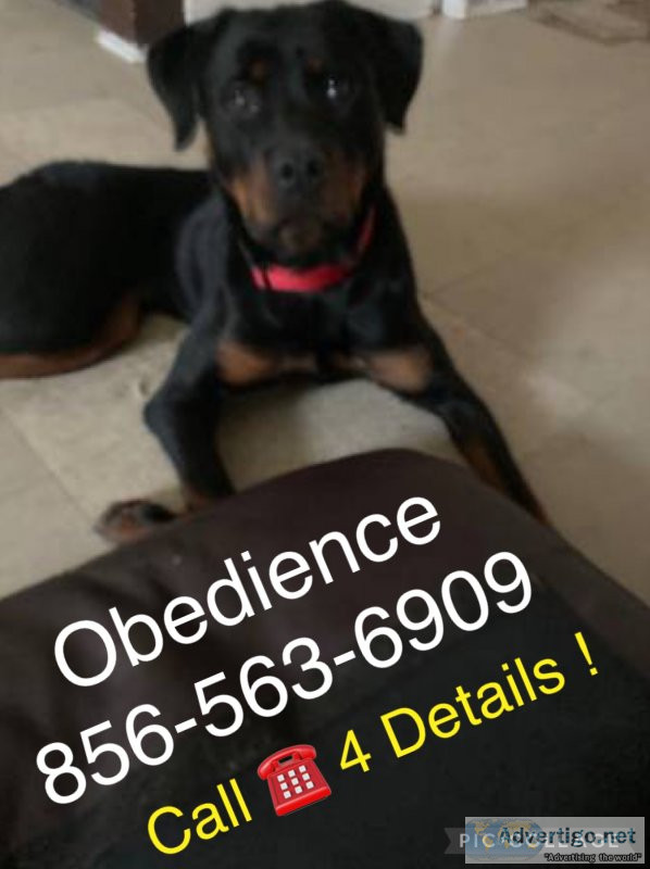 We control all breeds k9 control