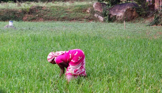 Best farmland near bangalore