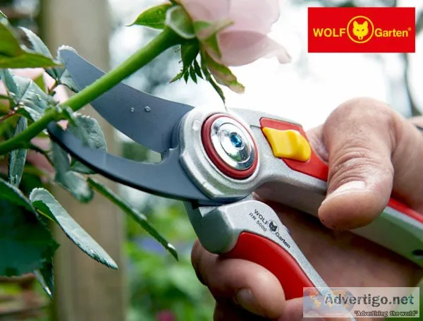 Wolf garten dealer