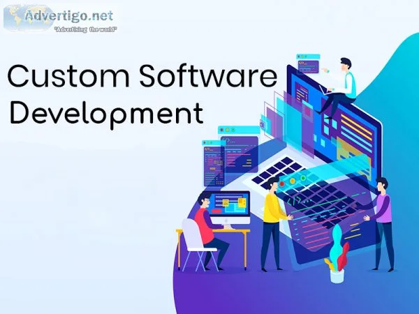Custom software development solutions india