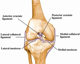 Best acl surgeon in delhi | dr vikram mhaskar