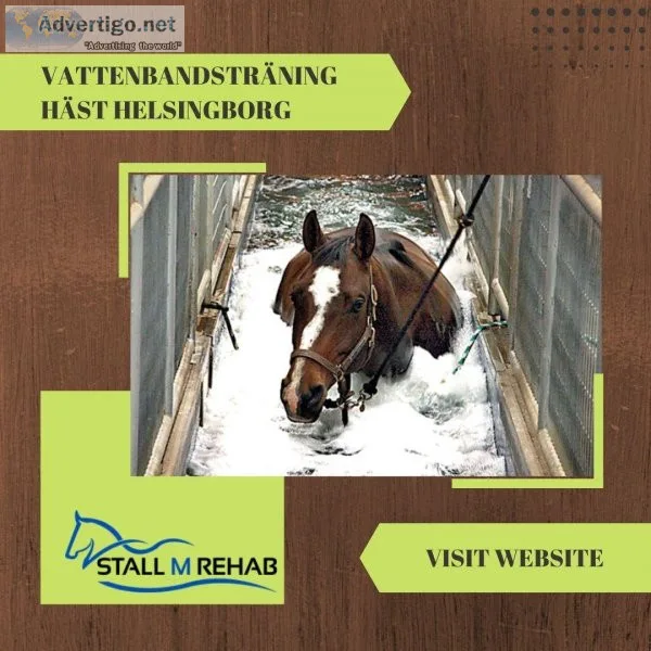 Vattenbandstr&aumln ing f&oumlr h&aumlstar - Stall M Rehab