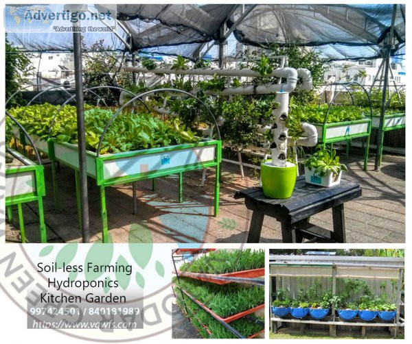 Hydroponics and aquaponics system to grow your own food