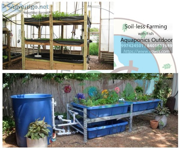 Hydroponics and aquaponics system to grow your own food