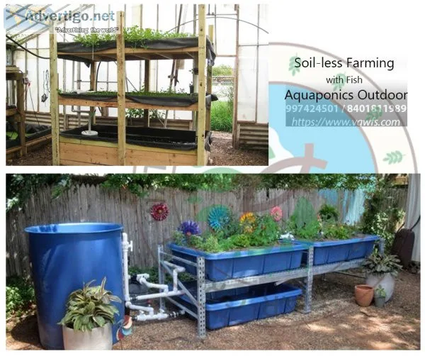 Hydroponics and aquaponics system to grow your own food