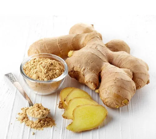 Ginger extracts manufacturers