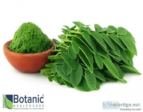 Organic extracts manufacturers
