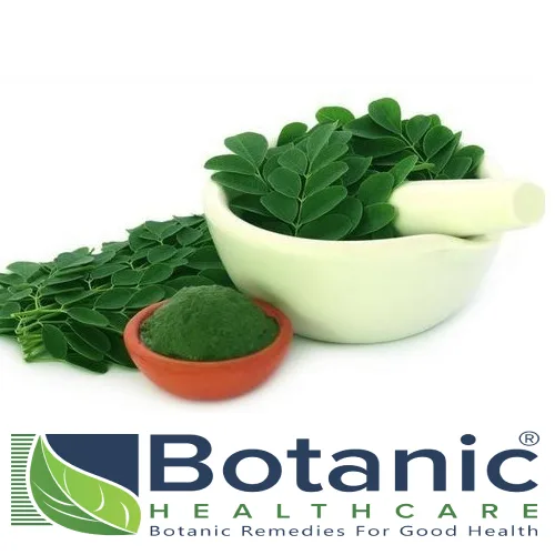 Moringa leaf extract manufacturers