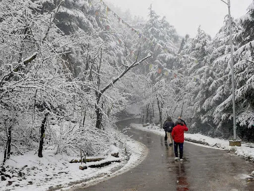 Shimla honeymoon package