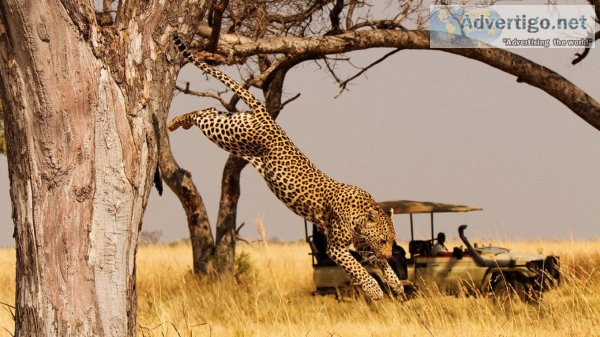 African safari vacations all inclusive at lowest price