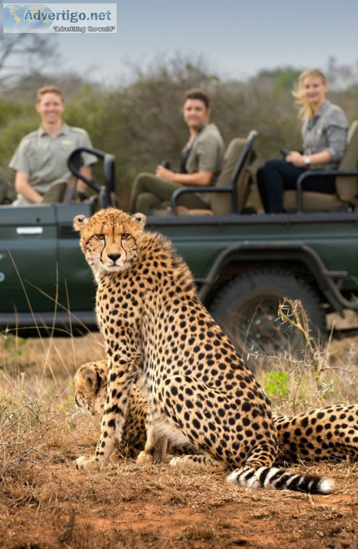 African safari vacations all inclusive at lowest price