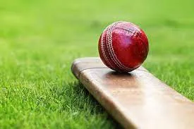 Cricketbettingidmaker