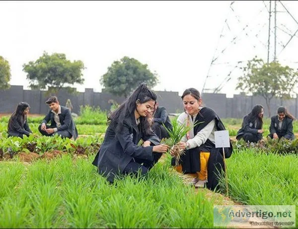 Top ma institute Noida-Avviareeducati ons