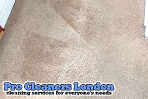 Pro Cleaners Guildford