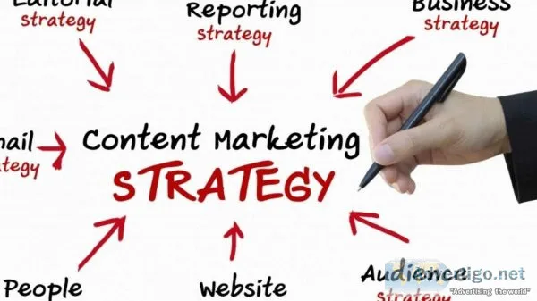 Website development company