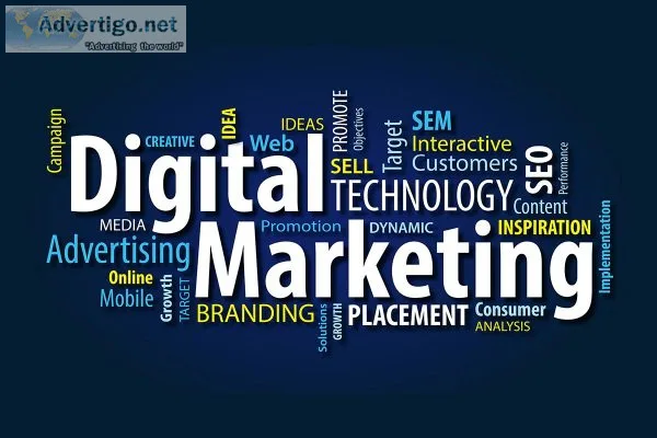 Website development company