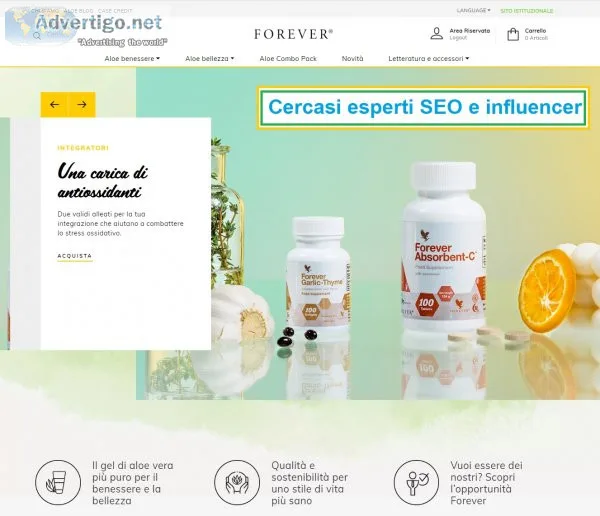 Online marketing esperti e influencer cercasi