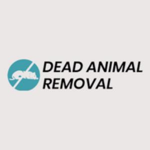 Instant Dead Possum Removal in London - Deadanimalremoval.uk