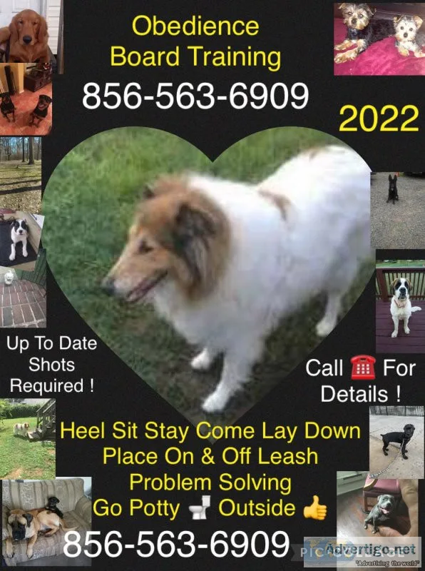 Affordable prices for k9?s control