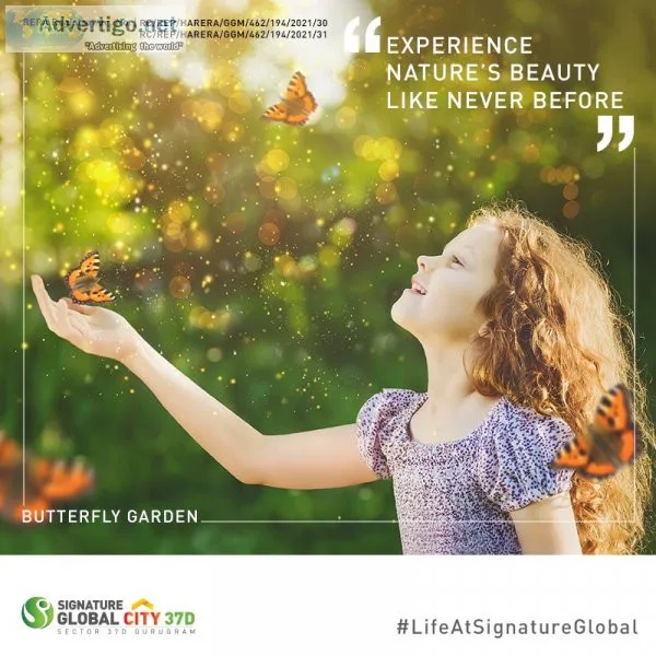 2 bhk flats on dwarka expressway