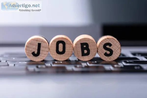 Data Entry Freelancer