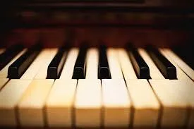 Larissa Mulligan Piano Studio