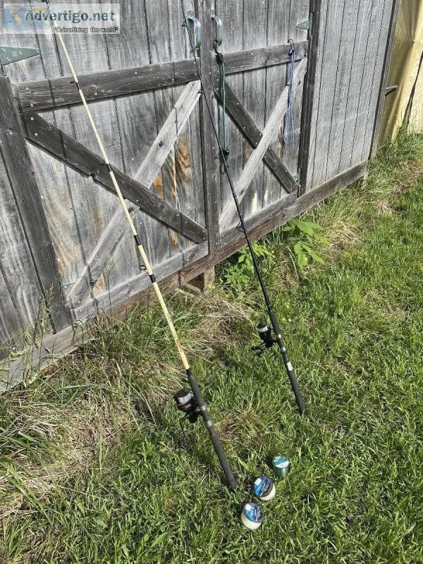 2 saltwater fishing rods