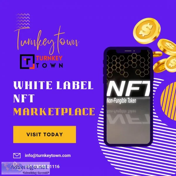 Witness win-win situation with your ready-made nft marketplace