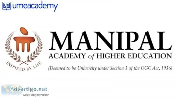 University Online Education