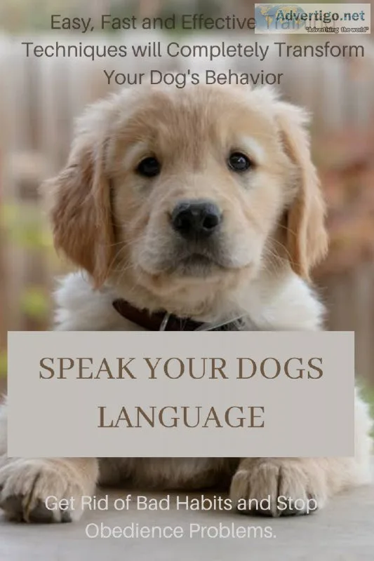 SPEAK YOUR DOG S LANGUAGE How to train your puppy..