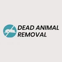 Carcass Removal Services in London