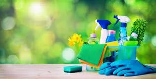 Professional Deep Clean Serives