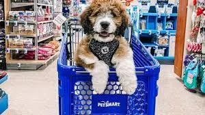 Pet Supplies At Lower Costs