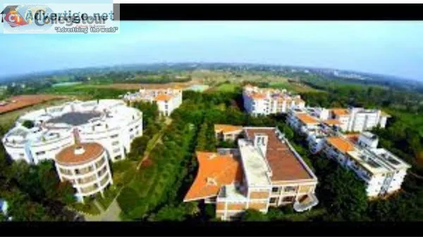 Alliance university.