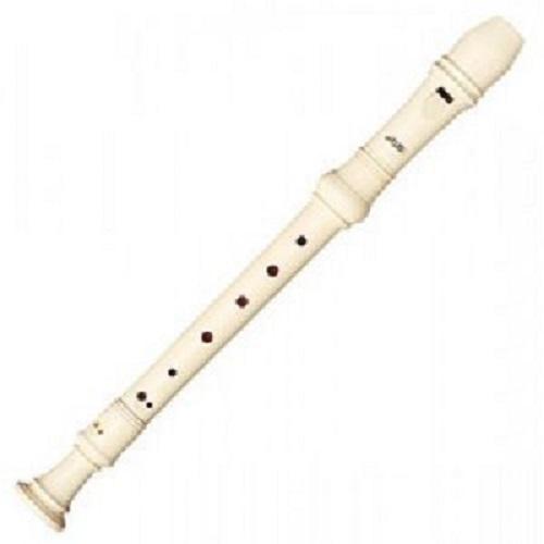 Learn Recorder Lesson by Professionals
