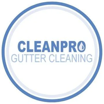 Clean Pro Gutter Cleaning Endwell