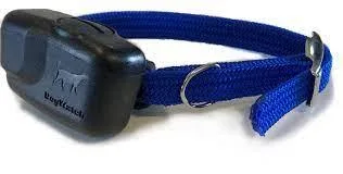 Purchase dog watch