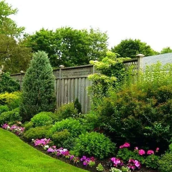 Professional garden designs drawing and ideas