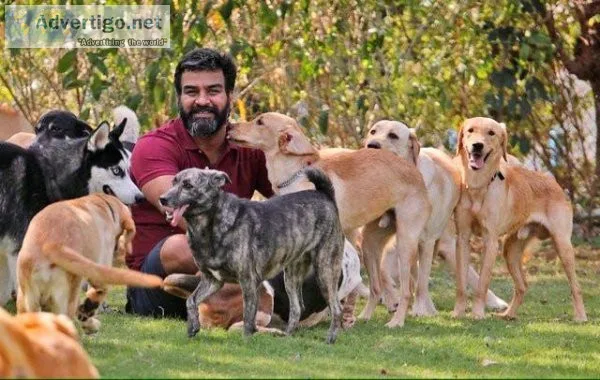 Get Best Pet Boarding in Whitefield Bangalore - Snouters