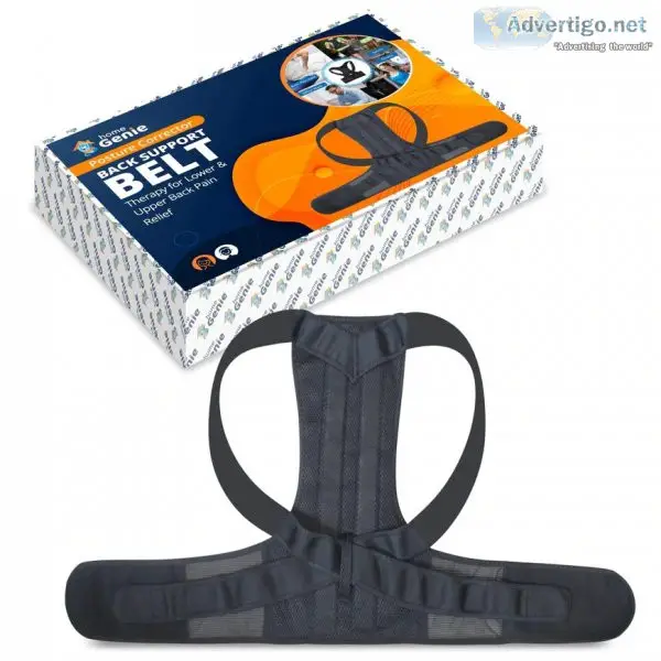 Buy back support belt for men