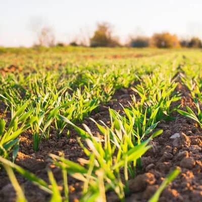 Best agri industry in india