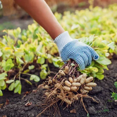 Best agri industry in india